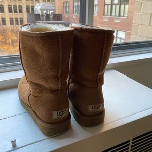 Uggs Classic Short II in Chestnut, size 10
